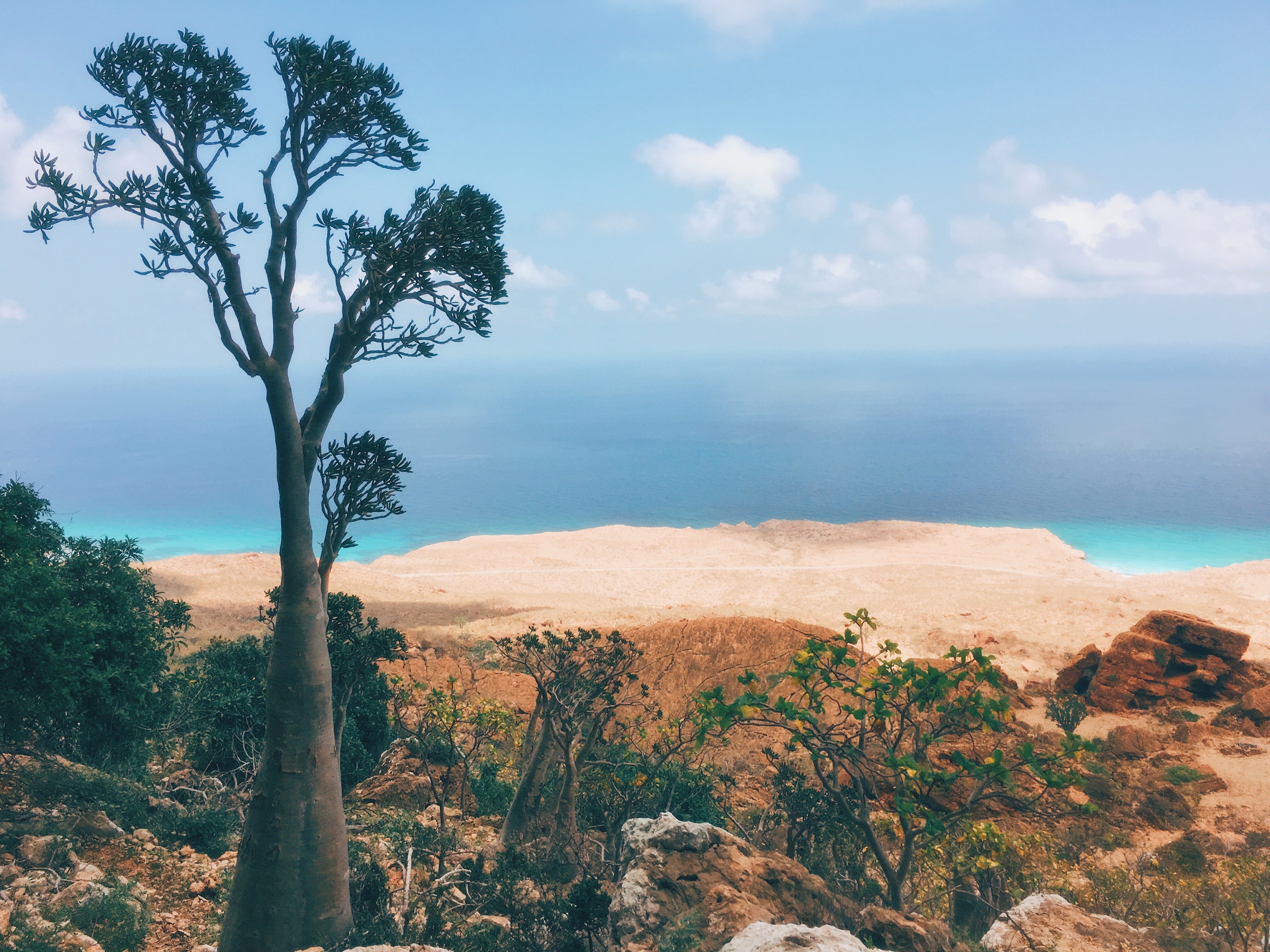 Mainland Yemen and Island of Socotra