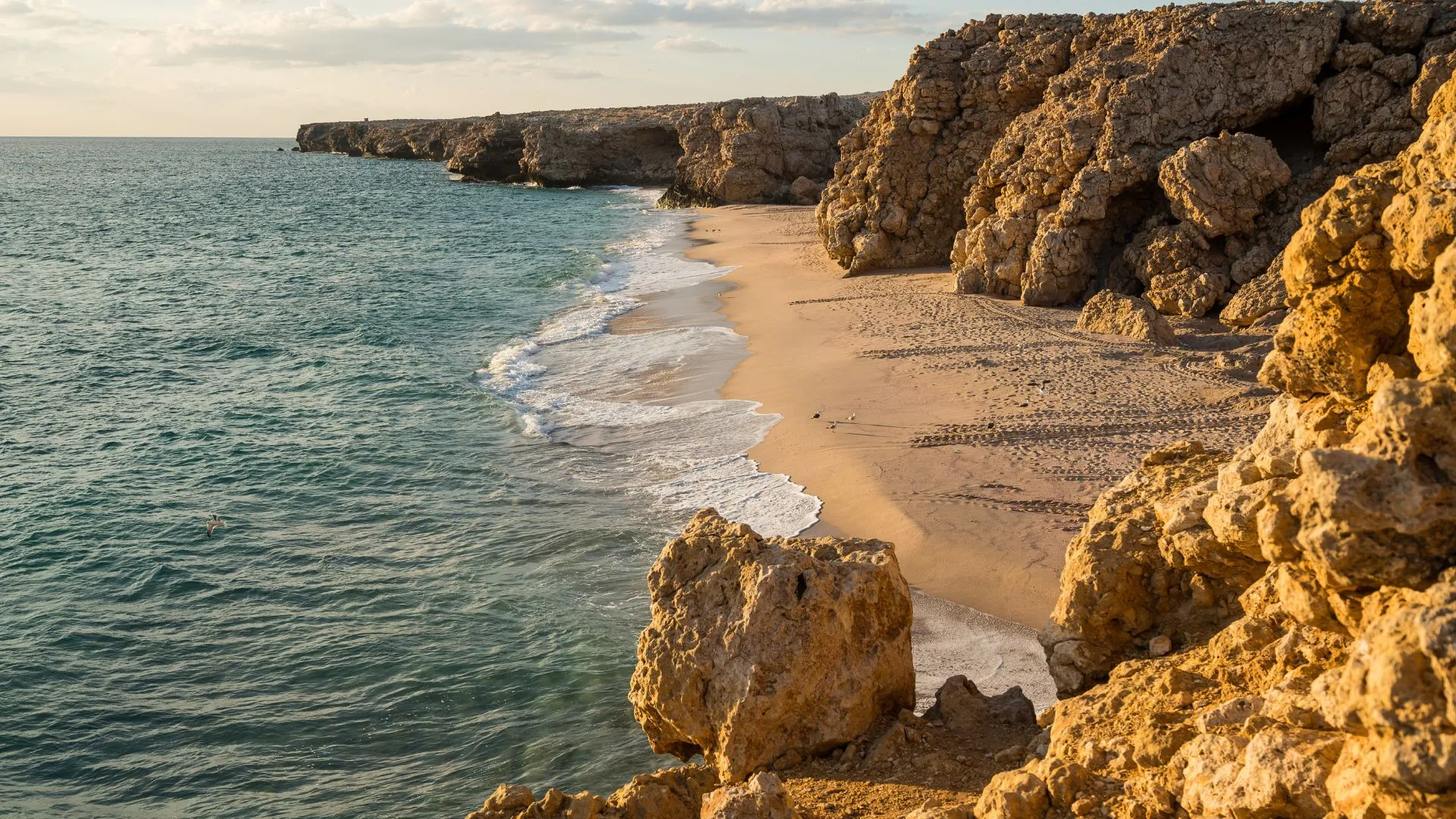 Oman Tour Package in Florida